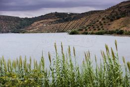 Image du Maroc Professionnelle de  Le Barrage Allal Al Fassi est situé dans la Province de Sefrou sur Oued Sebou avec un volume de stockage de 63.7 Mm3, il contrôle un bassin versant de 5.400 km2. Ce Barrage a été mis en service en 1990. But de l'ouvrage  production d'électricité, irrigation et protection contre les crues, Jeudi 8 septembre 2005. (Photo / Abdeljalil Bounhar) 